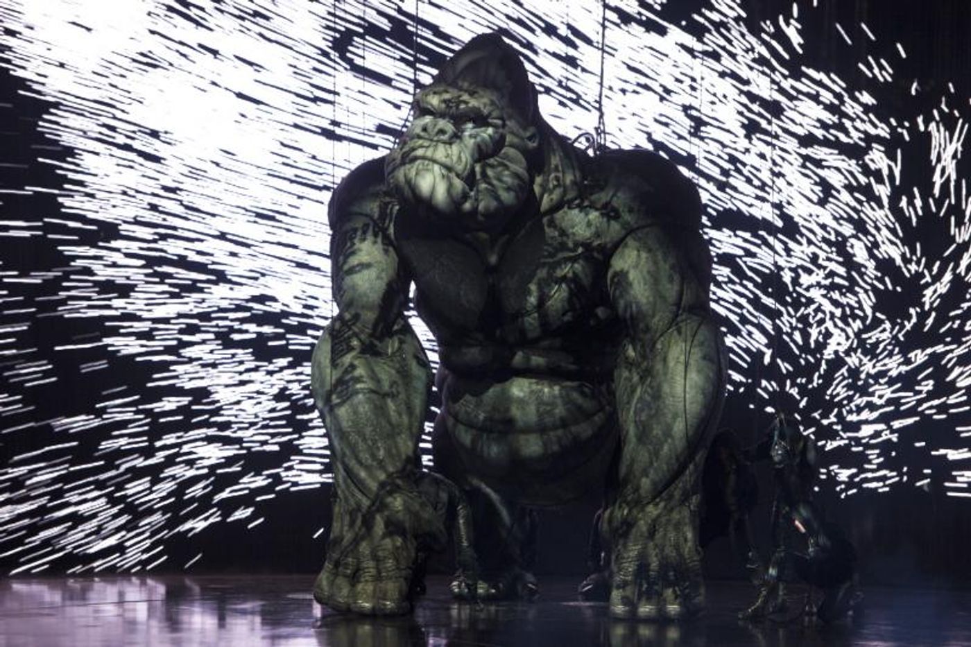 Photo Flash: First Look at New Images of KING KONG on Broadway!  Image