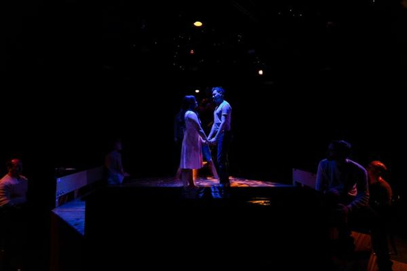Photo Flash: THE FANTASTICKS at ArtisTree Music Theatre Festival Photo Flash: THE FANTASTICKS at ArtisTree Music Theatre Festival Image