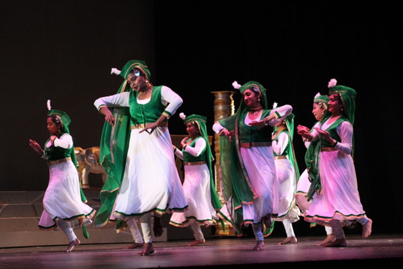 Photo Flash: Meet the Company of Mainstage-Irving Las Colinas and thinkIndia Foundation's THE RED PASHMINA at the Irving Arts Center  Image