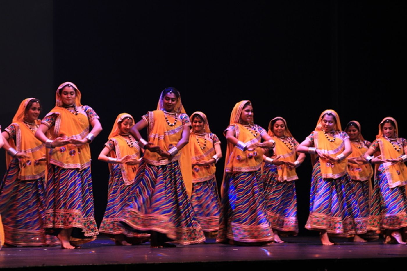 Photo Flash: Meet the Company of Mainstage-Irving Las Colinas and thinkIndia Foundation's THE RED PASHMINA at the Irving Arts Center  Image