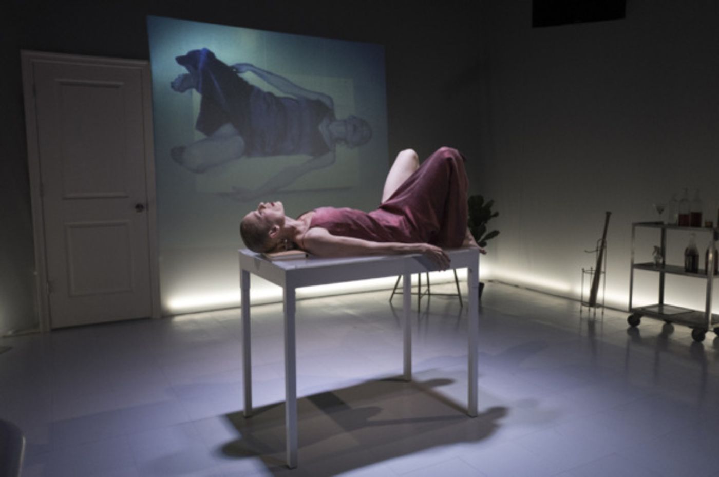 Photo Flash: The Wild Project Presents the Premiere of HOPE Off-Broadway  Image