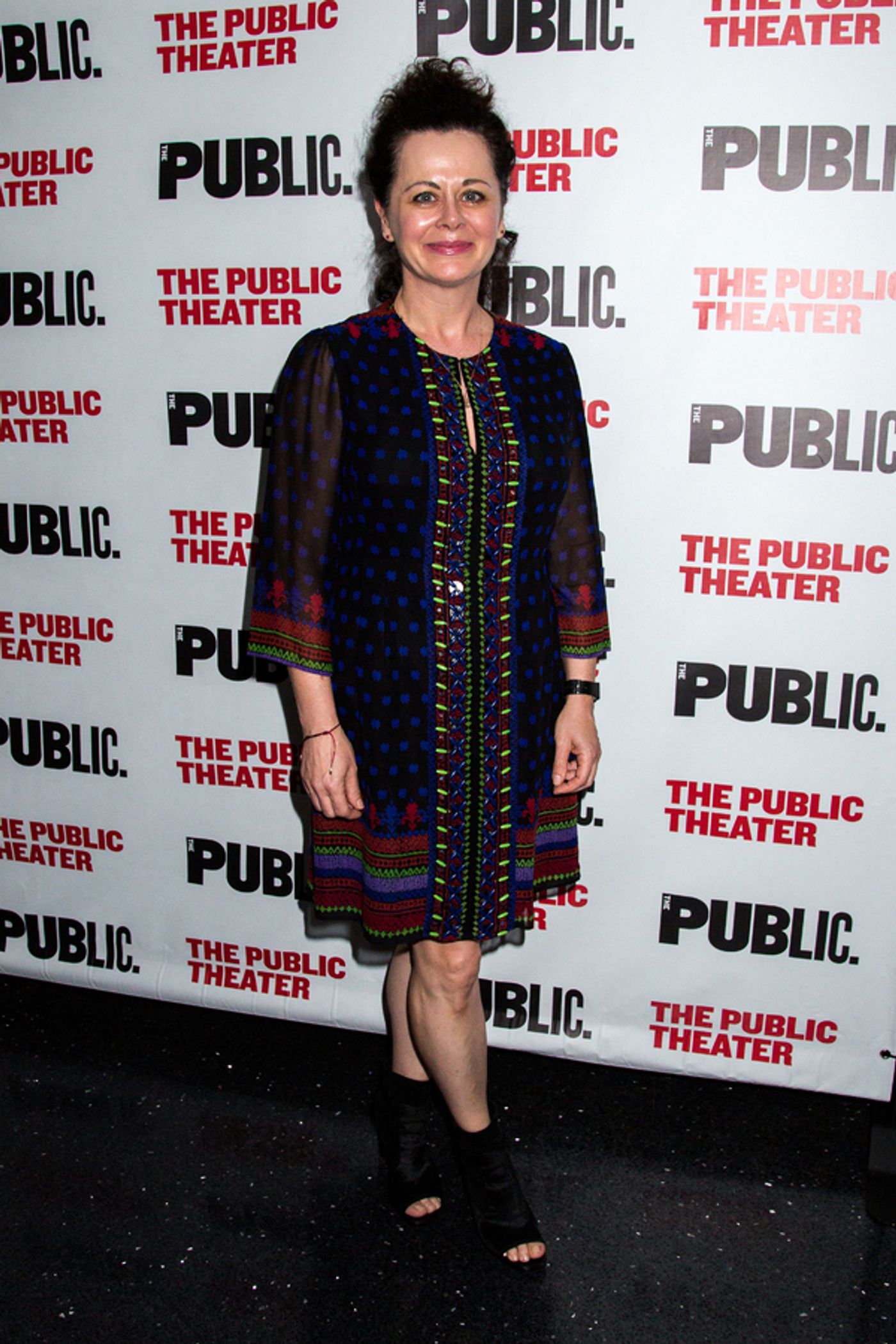 Photo Coverage: Public Theater Celebrates Opening Night of GIRL FROM THE NORTH COUNTRY  Image