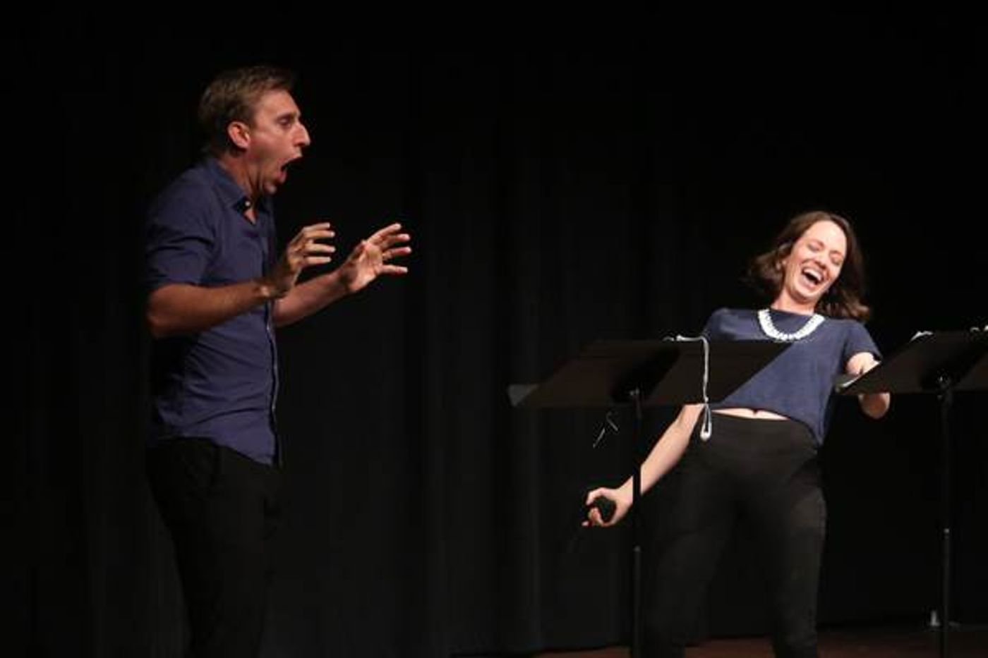 Photo Flash: Inside THE BAND VISITS CARIANI Benefitting Wintergreen Arts Center  Image