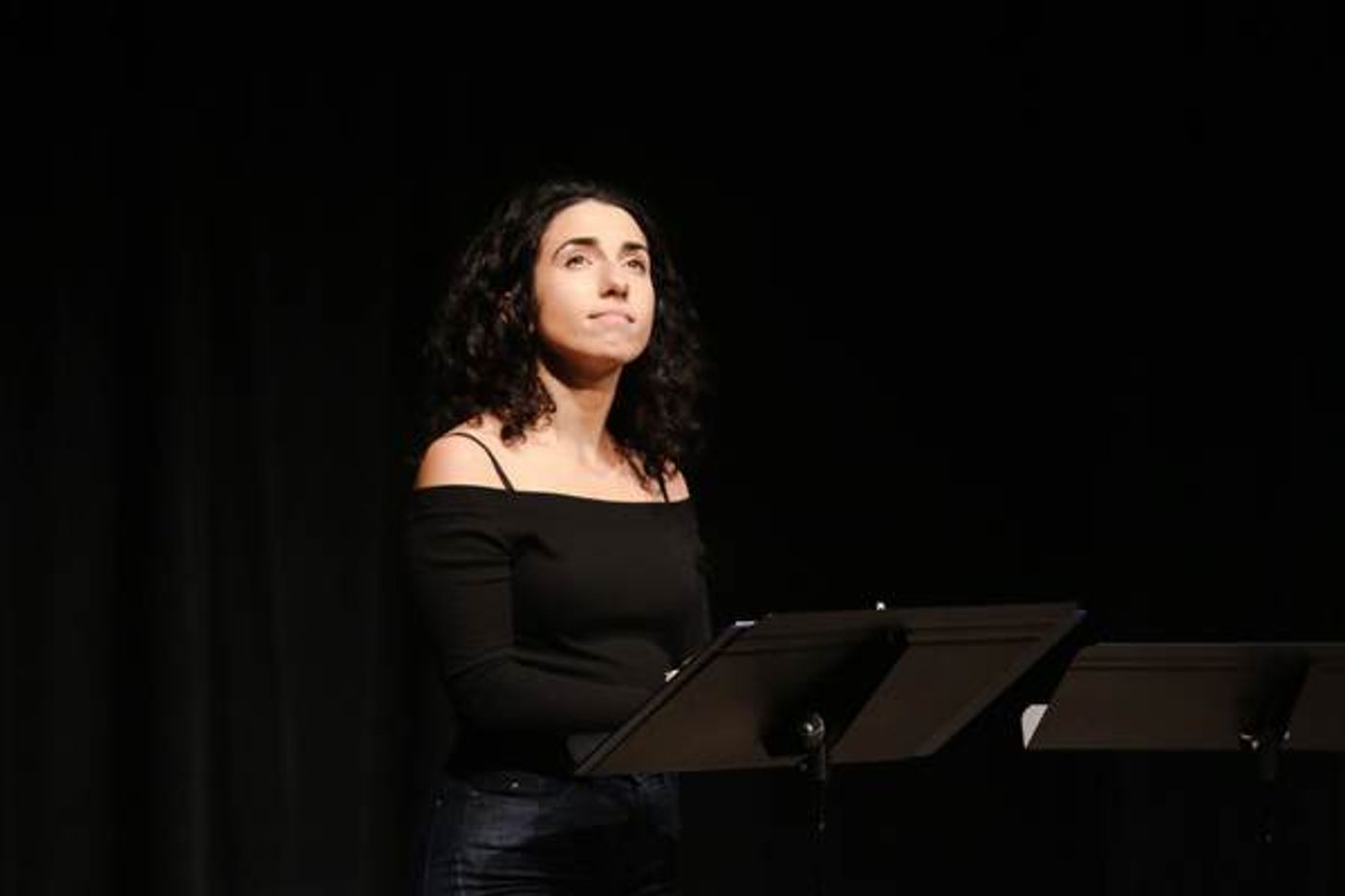 Photo Flash: Inside THE BAND VISITS CARIANI Benefitting Wintergreen Arts Center  Image