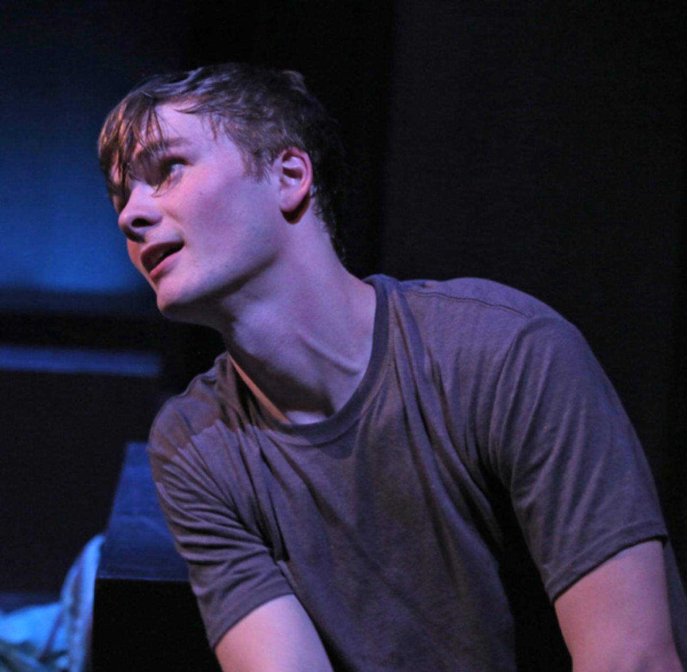 Photo Flash: First Look at Good Theater's THE CURIOUS INCIDENT OF THE DOG IN THE NIGHT-TIME Photo Flash: First Look at Good Theater's THE CURIOUS INCIDENT OF THE DOG IN THE NIGHT-TIME Image