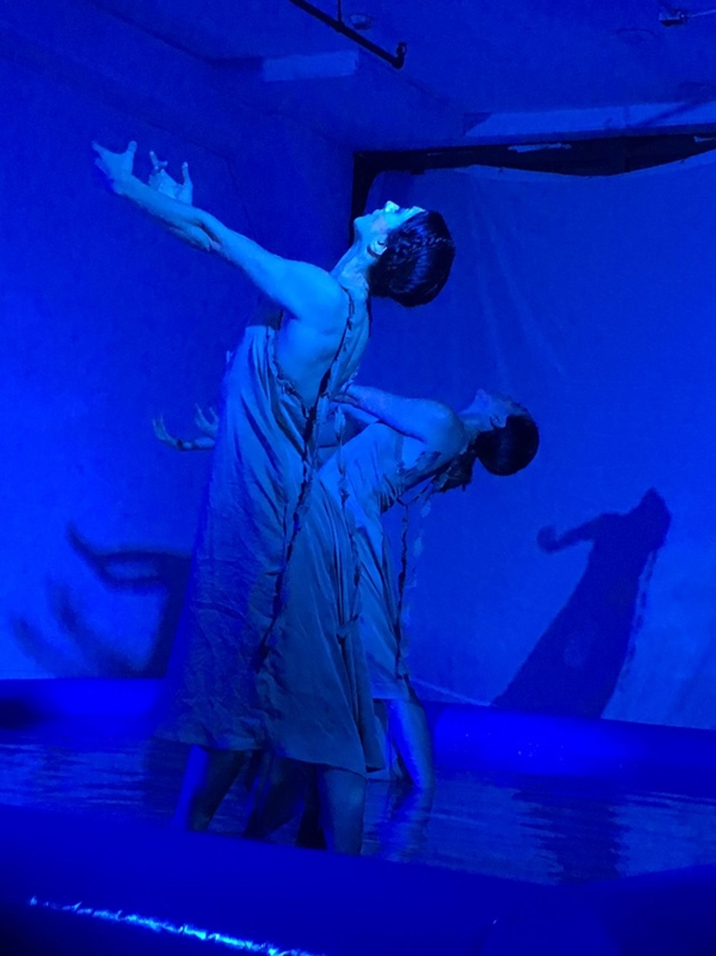 Review: No Man's Land Celebrates The Beauty of Birth to Be in a Hipster Haven Review: No Man's Land Celebrates The Beauty of Birth to Be in a Hipster Haven Image