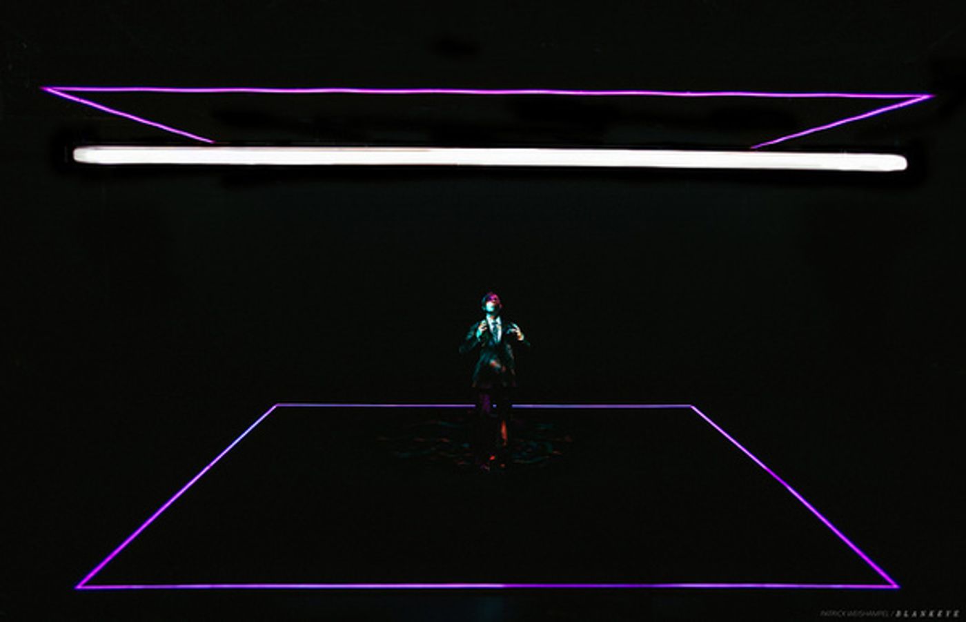 Photo Flash: West Coast Premiere of Adam Bock's Black Comedy A LIFE to Open at The Armory  Image