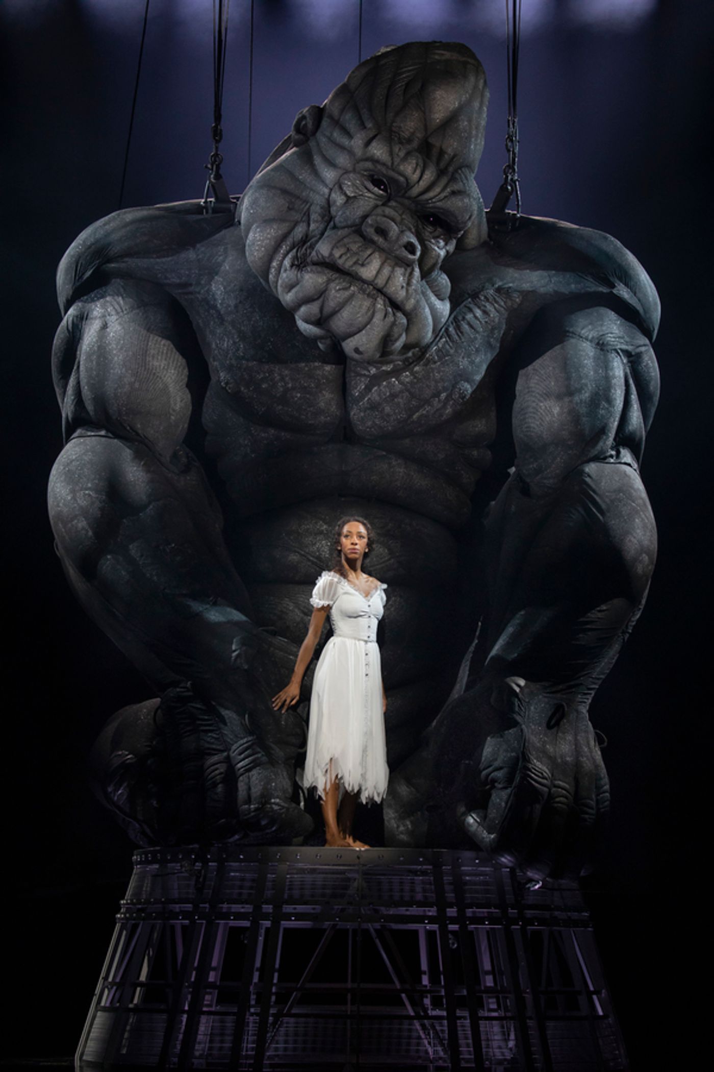 Photo Flash: KING KONG Arrives on Broadway Tonight- First Look!  Image
