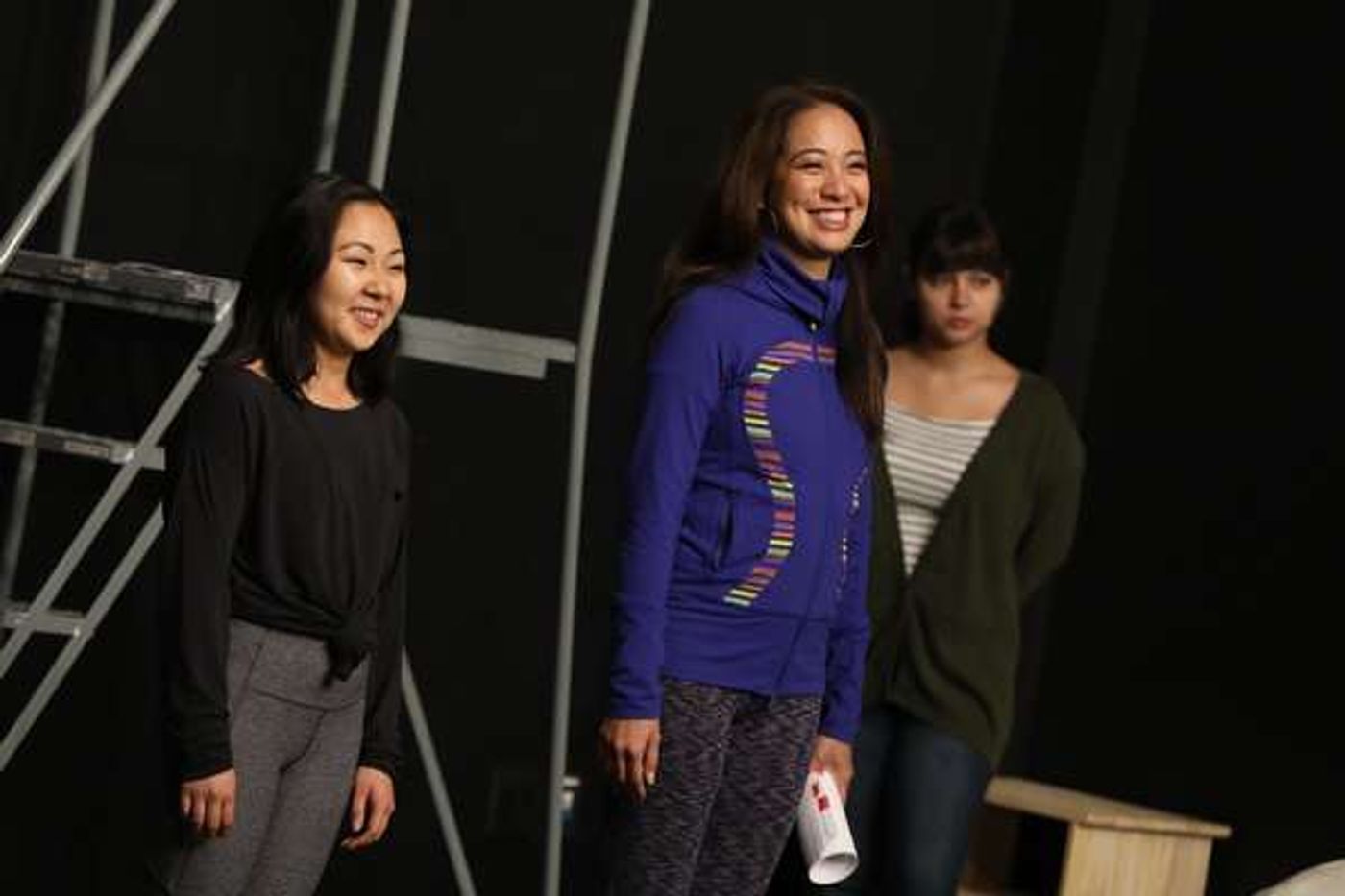 Photo Flash: In Rehearsal with The Public's WILD GOOSE DREAMS  Image