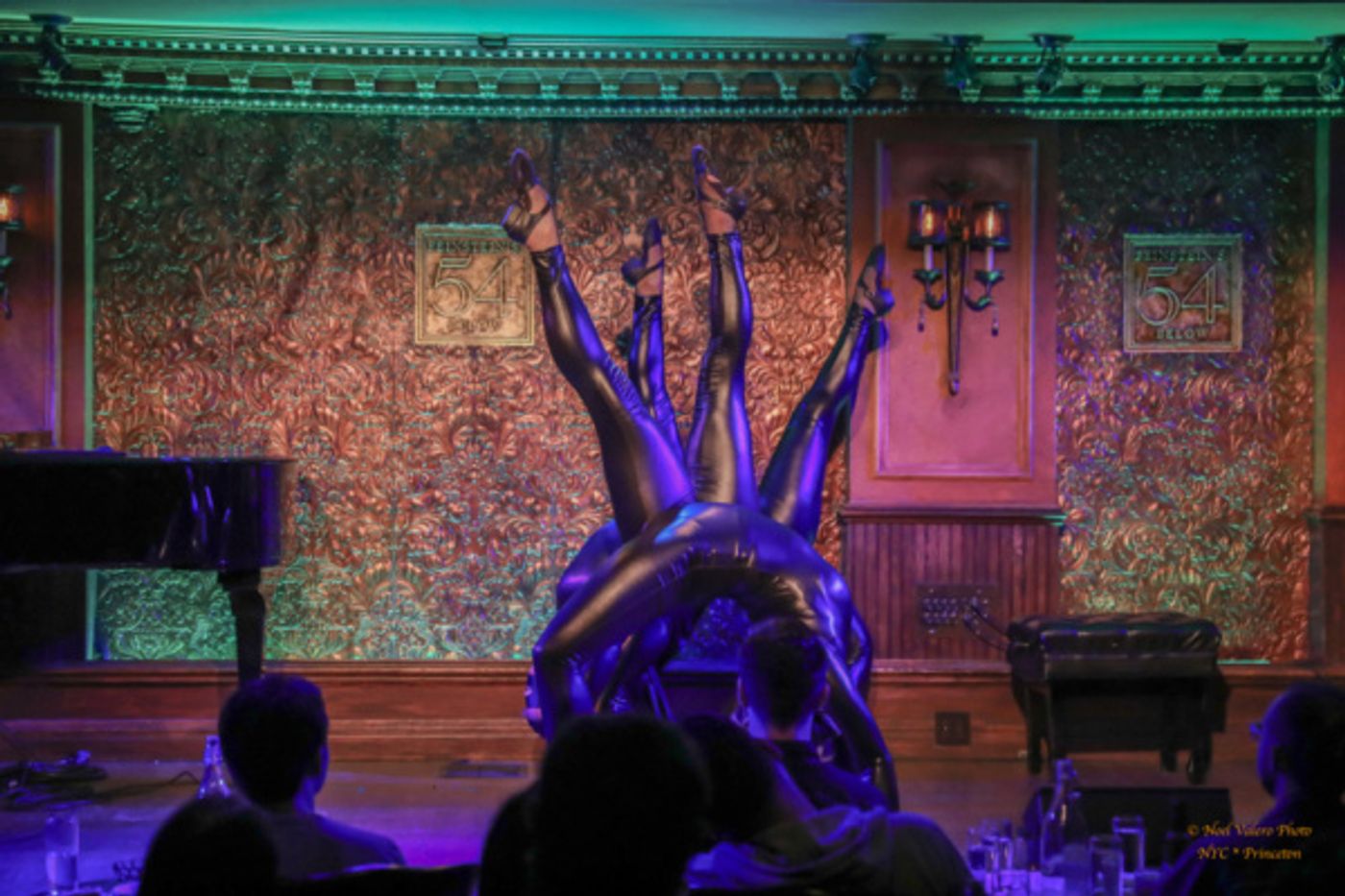 Photo Flash: Inside GUILTY PLEASURES Cabaret At 54 Below  Image