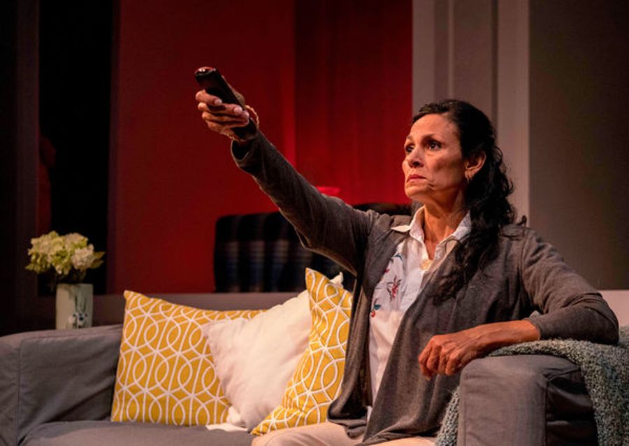 Photo Flash: First Look at the San Diego Premiere of GUADALUPE IN THE GUEST ROOM Image