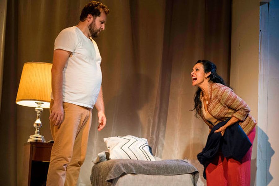 Photo Flash: First Look at the San Diego Premiere of GUADALUPE IN THE GUEST ROOM Image