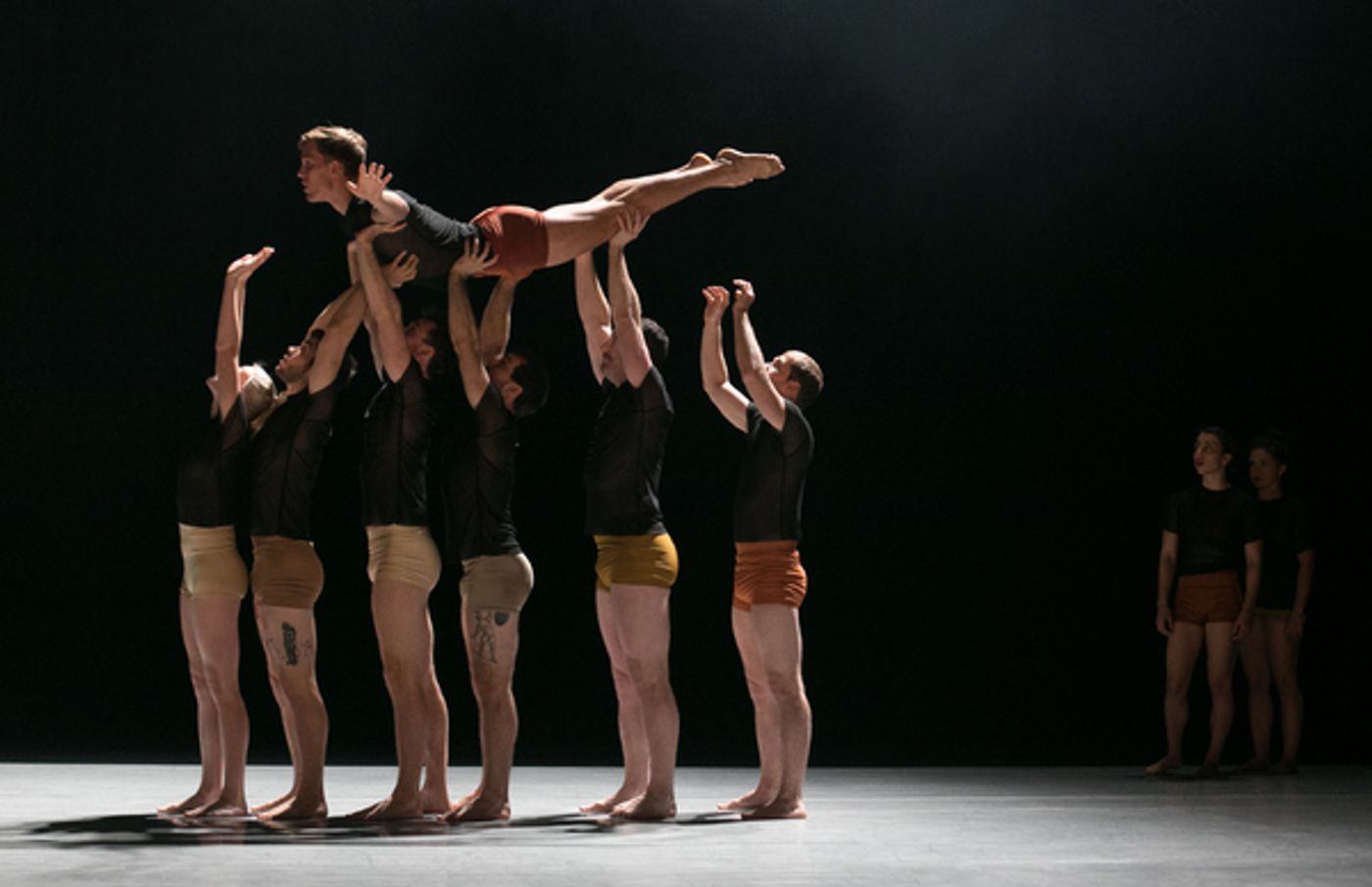Review: Circa Celebrates Stripped-Down Fragility and Strength In HUMANS At BAM's Next Wave Festival Review: Circa Celebrates Stripped-Down Fragility and Strength In HUMANS At BAM's Next Wave Festival Image