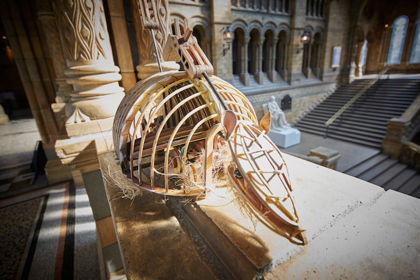 Guest Blog: Nick Paine On THE WIDER EARTH at the Natural History Museum  Image