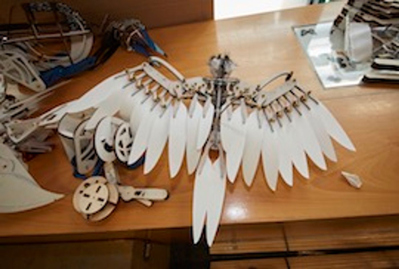 Guest Blog: Nick Paine On THE WIDER EARTH at the Natural History Museum  Image