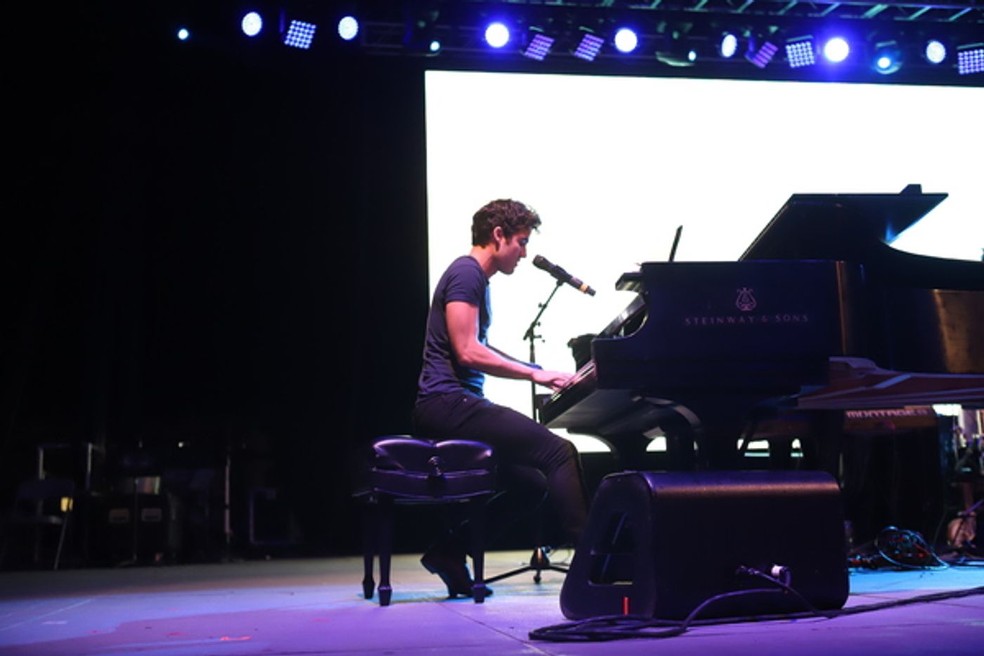 Photo Coverage: Go Inside Elsie Fest 2018 with Darren Criss, Sutton Foster, Joshua Henry and More!  Image