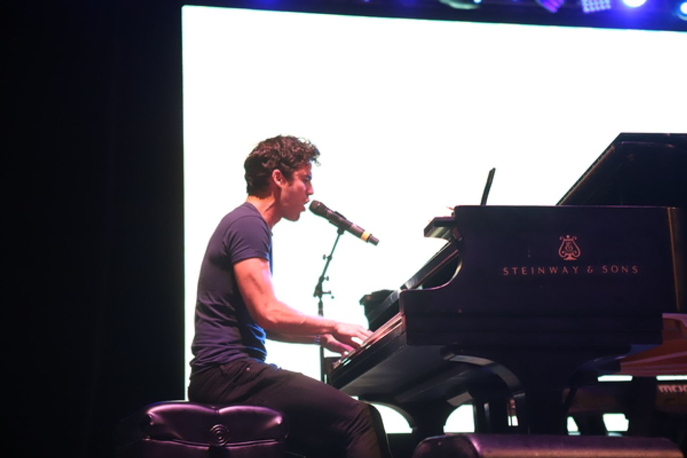 Photo Coverage: Go Inside Elsie Fest 2018 with Darren Criss, Sutton Foster, Joshua Henry and More!  Image