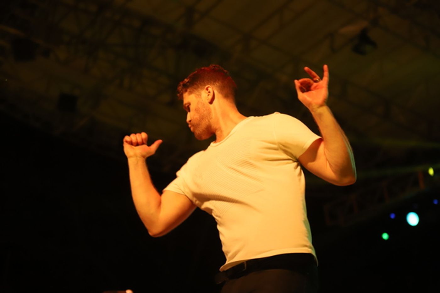 Photo Coverage: Go Inside Elsie Fest 2018 with Darren Criss, Sutton Foster, Joshua Henry and More!  Image