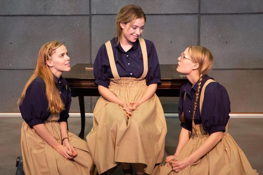 Review: Playwright Michelle Kholos Brooks and HITLERS TASTERS at IRT Theatre Image