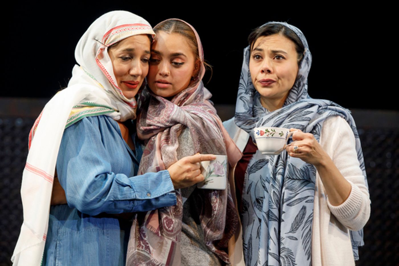 Photo Flash: First Look at MTC's INDIA PALE ALE  Image