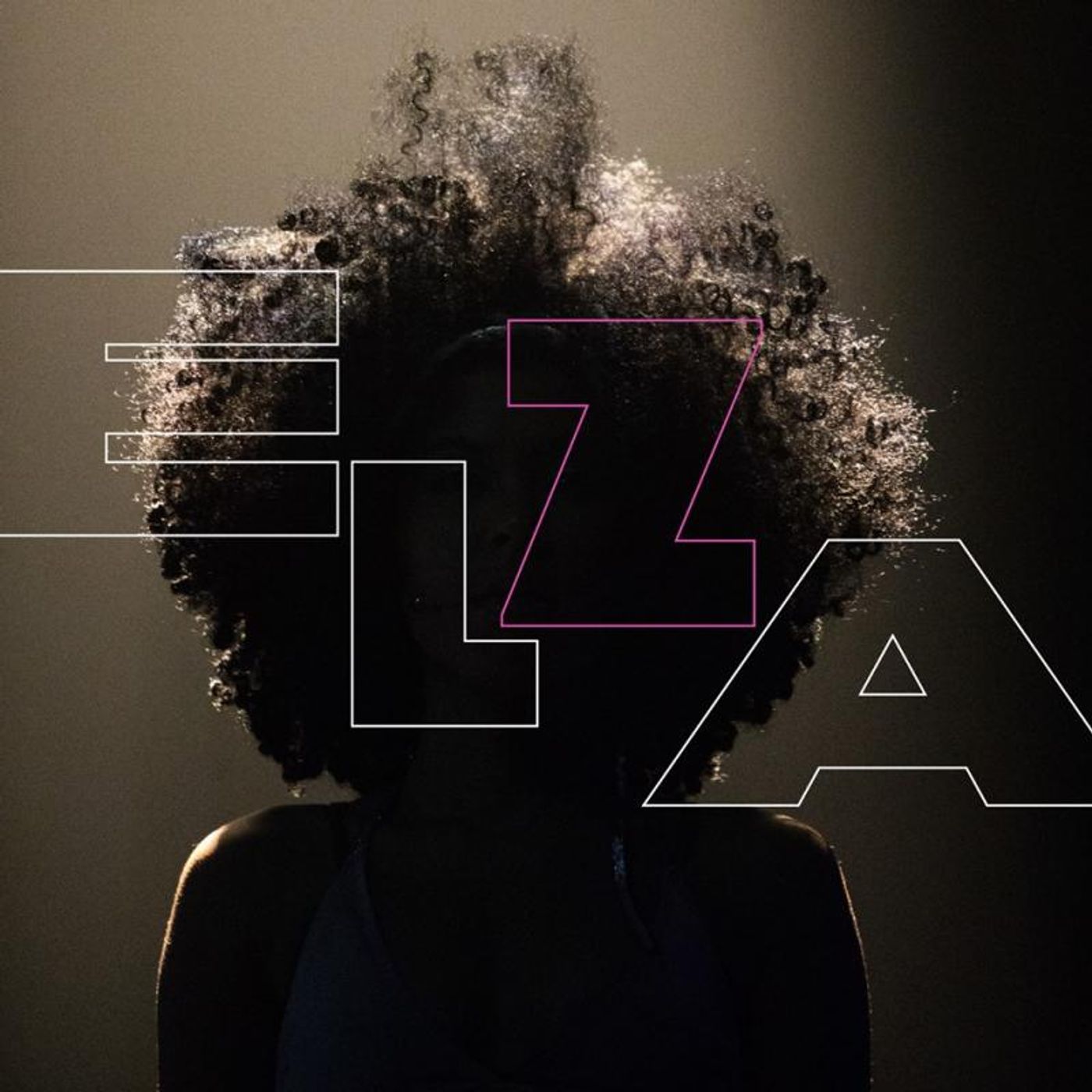 Review: SESC Pinheiros Opens in Sao Paulo Musical About Singer ELZA SOARES Review: SESC Pinheiros Opens in Sao Paulo Musical About Singer ELZA SOARES Image