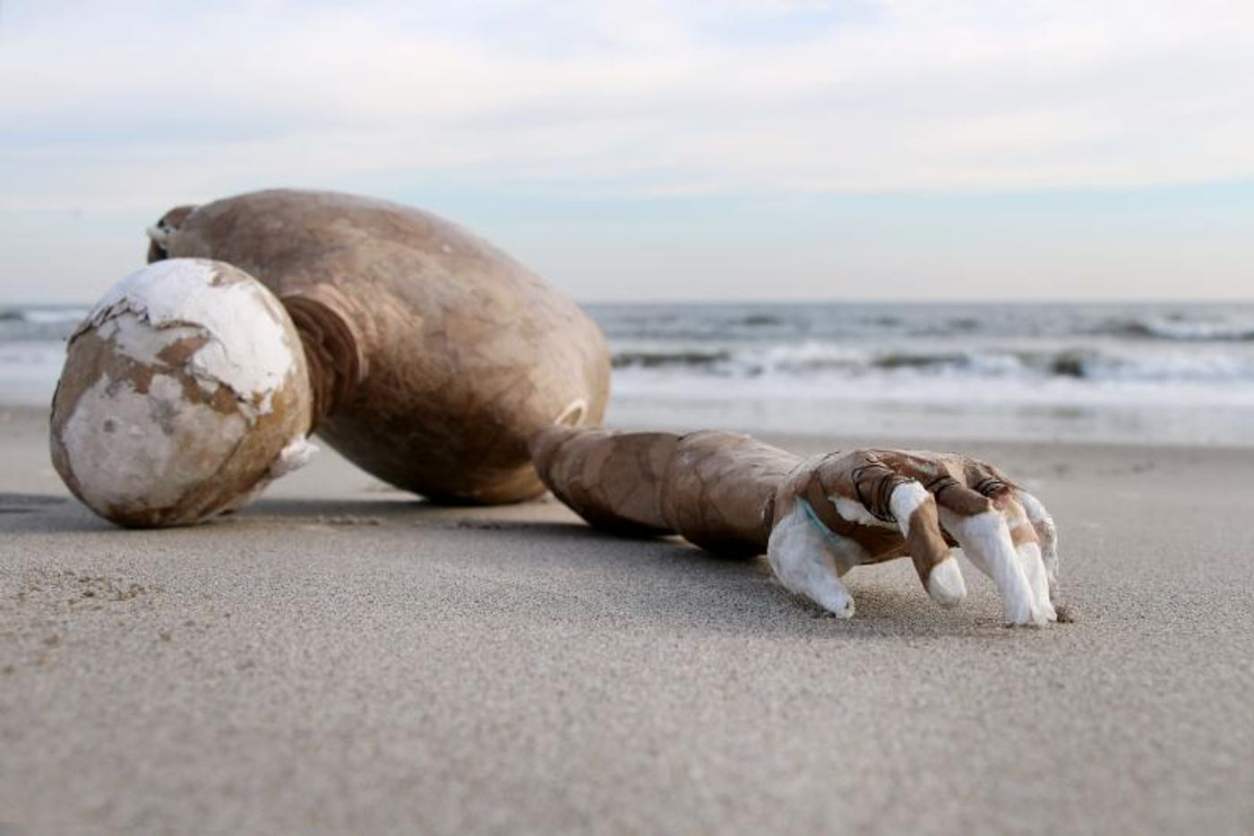 Dramaturg Janice Paran Discusses the World Premiere of FALLING OUT at OZ Arts Nashville  Image