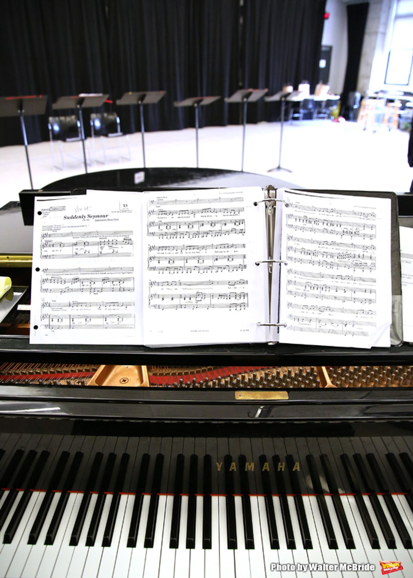 Photo Coverage: In Rehearsal With Megan Hilty, Josh Radnor, and the Cast of The Kennedy Center's LITTLE SHOP OF HORRORS  Image