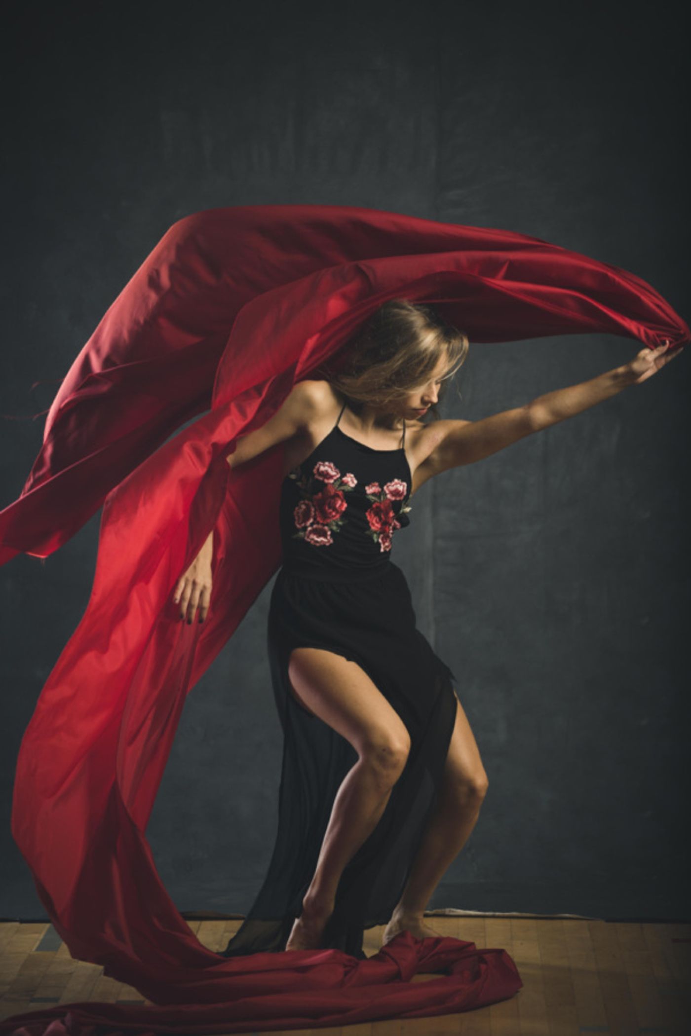 Photo Flash: VLDC Announces Dancers For The 2018-2019 Season Photo Flash: VLDC Announces Dancers For The 2018-2019 Season Image