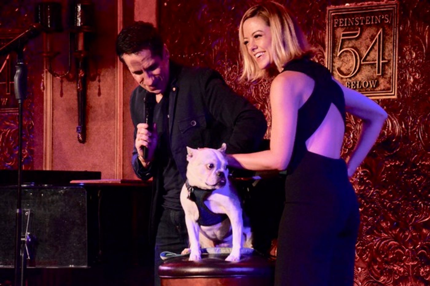 Photo Coverage: Adam Kantor, Betsy Wolfe, Ana Gasteyer, and More Perform in BEST IN SHOWS Benefit at Feinstein's/54 Below  Image