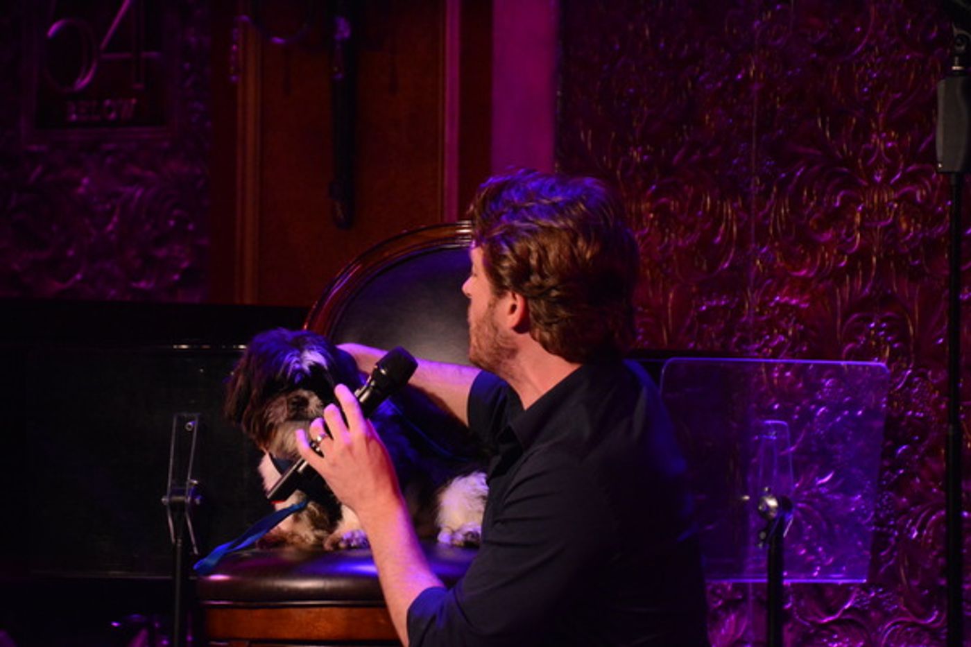 Photo Coverage: Adam Kantor, Betsy Wolfe, Ana Gasteyer, and More Perform in BEST IN SHOWS Benefit at Feinstein's/54 Below  Image