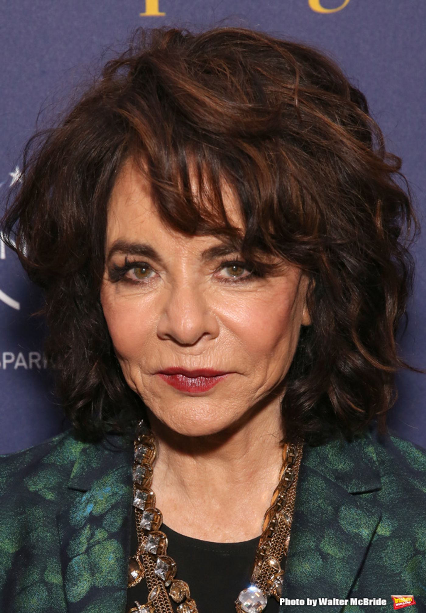 Photo Coverage: On the Red Carpet at Opening Night of APOLOGIA  Image