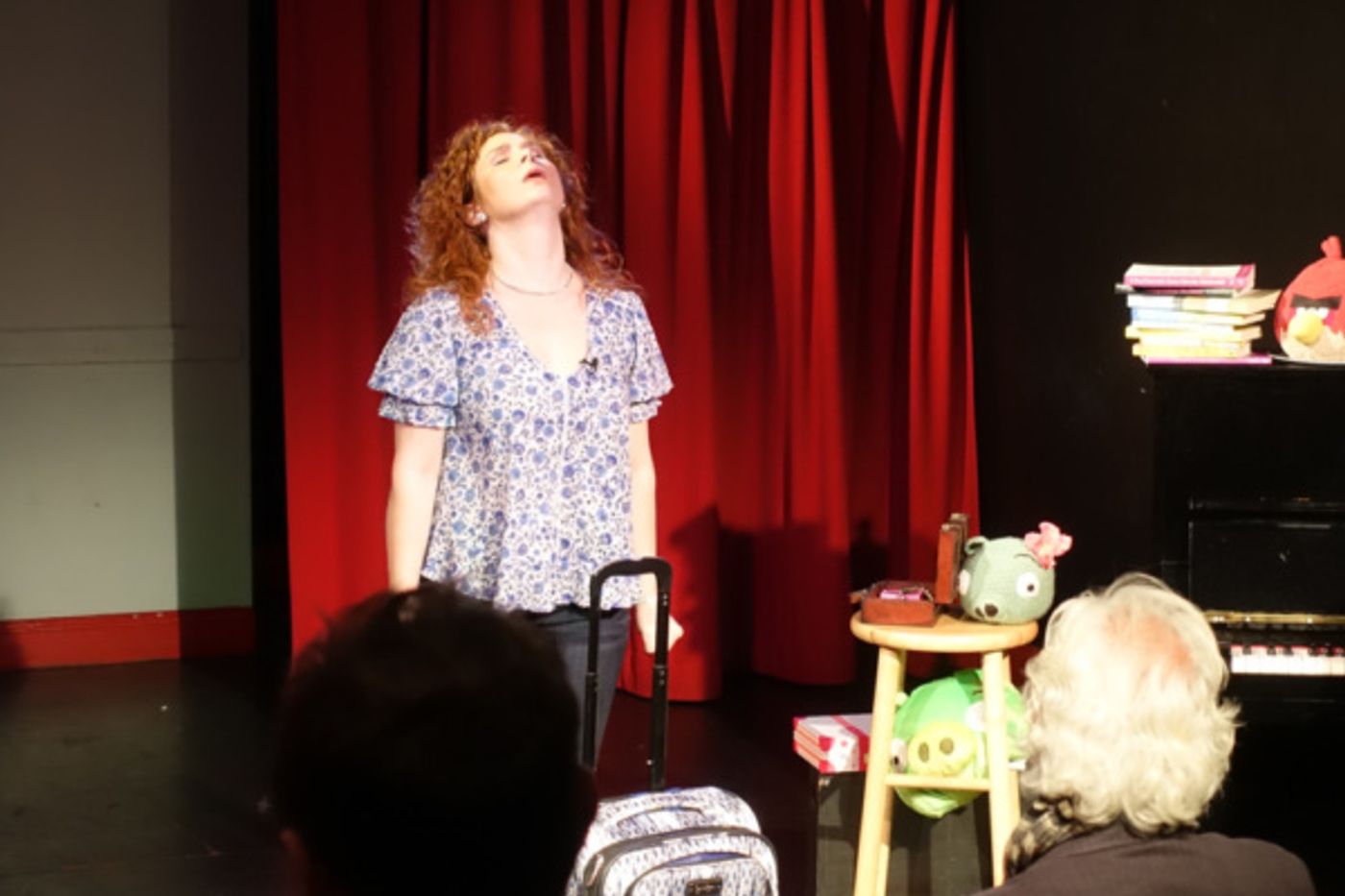 Photo Flash: First Look at Dana Aber's BAGGAGE AT THE DOOR Soloshow at PIT Loft  Image