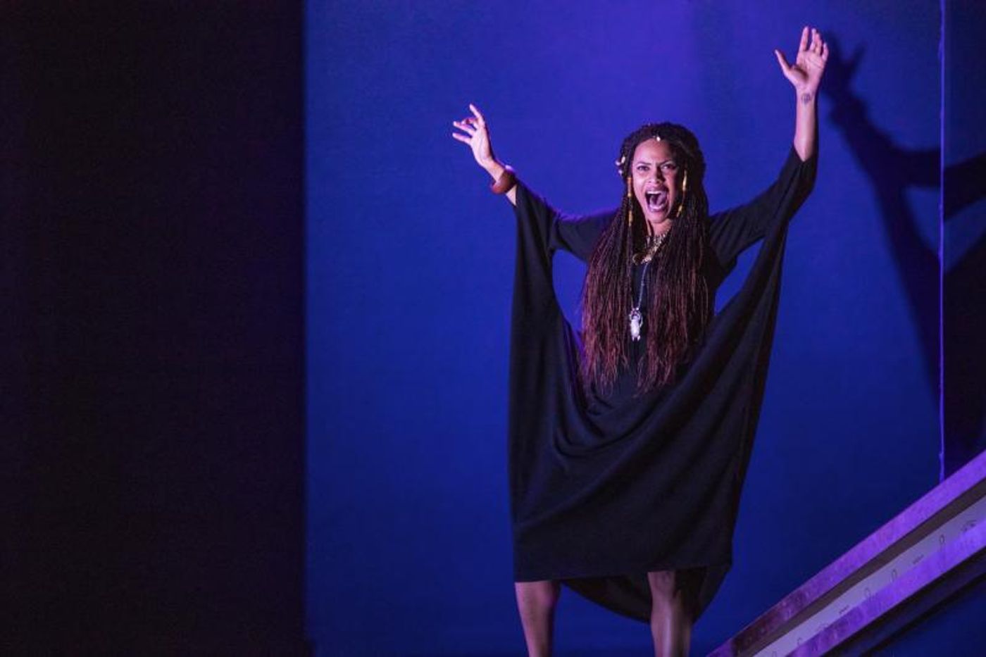 Review: AIDA at Constellation Theatre Company  Image