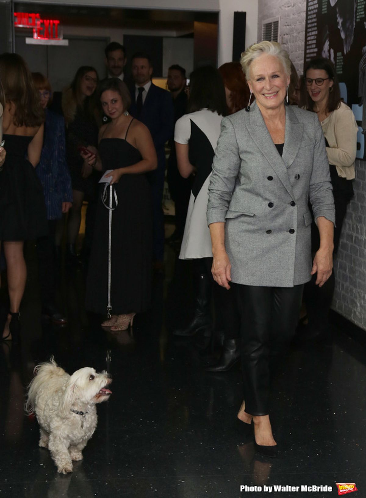 Glenn Close with her dog Pip at 