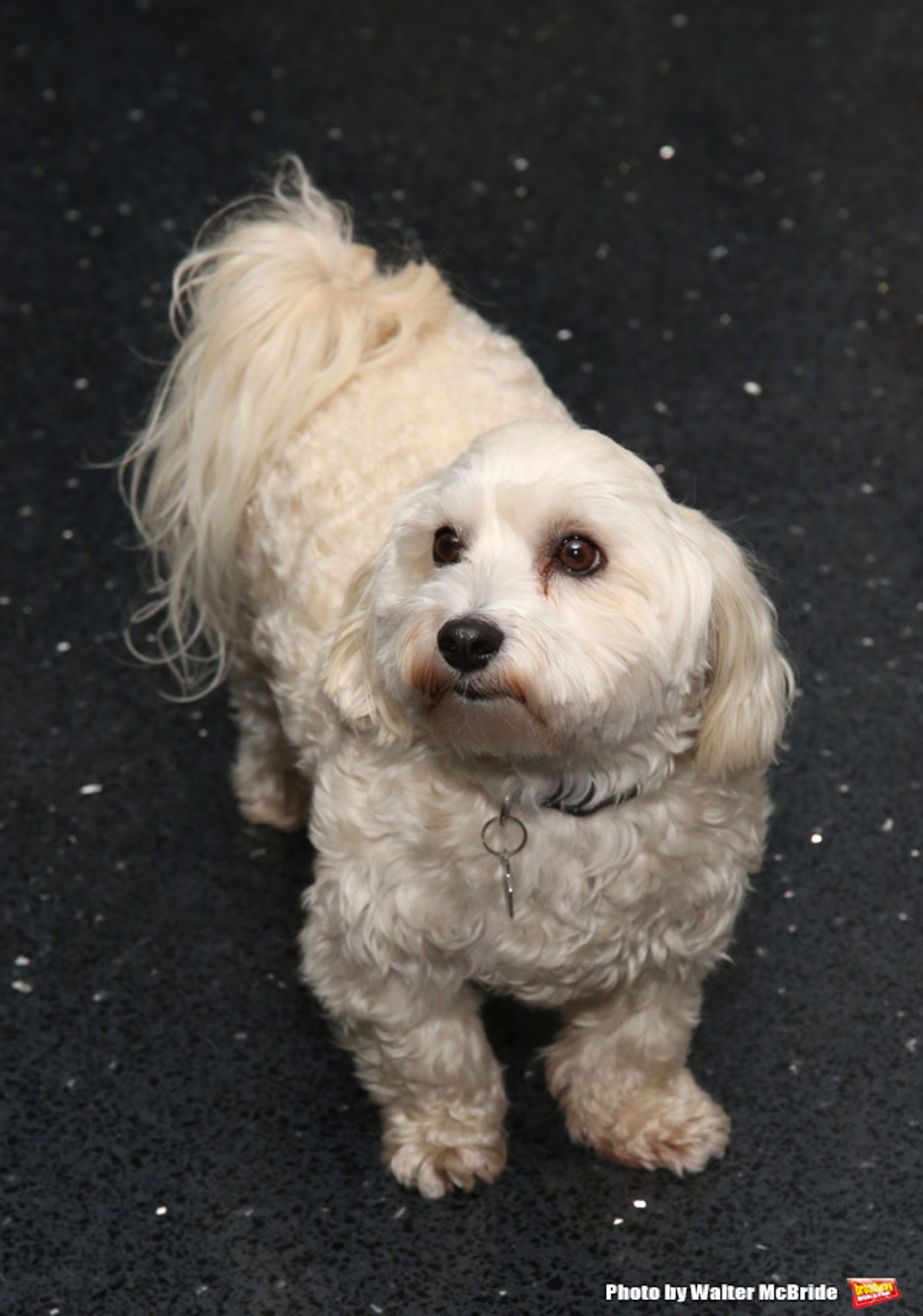 Photo Coverage: Inside Opening Night of MOTHER OF THE MAID, Starring Glenn Close  Image