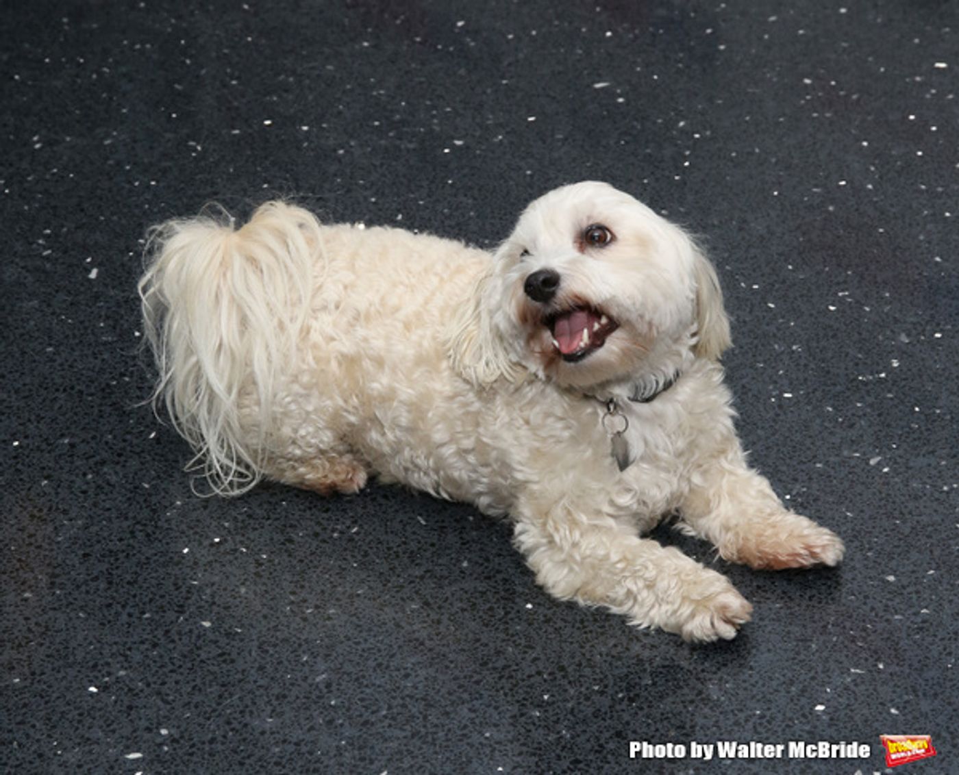 Photo Coverage: Inside Opening Night of MOTHER OF THE MAID, Starring Glenn Close  Image