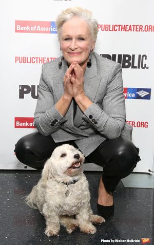 Glenn Close with her dog Pip @ BroadwayWorld Glenn Close with her dog Pip Photo