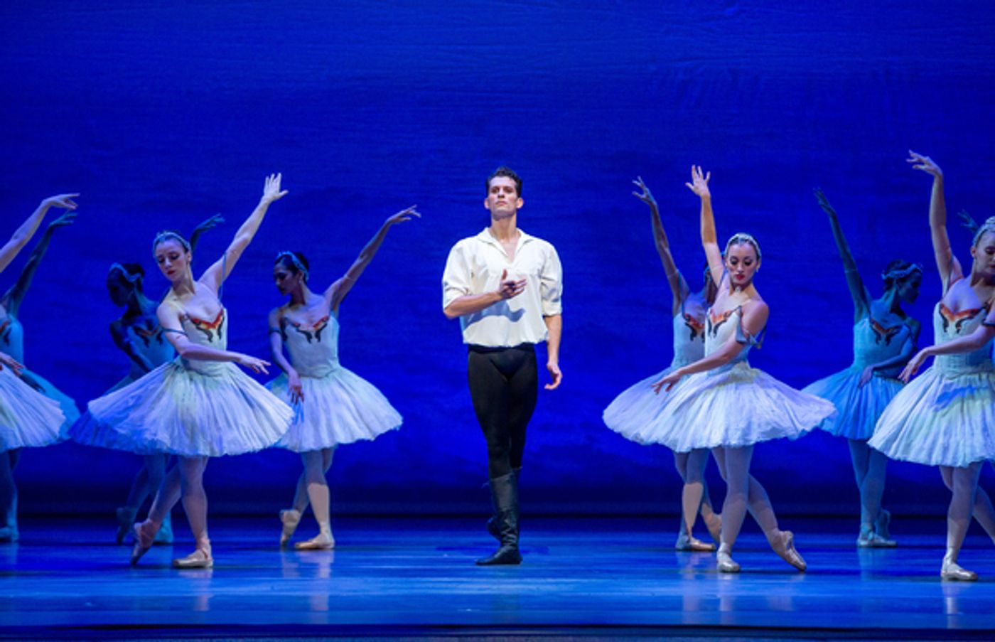Photo Flash: First Look at Joffrey Ballet's SWAN LAKE  Image