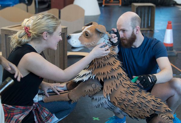 Mollie Melia-Redgrave and Richard Vorster with Jip the Dog Photo
