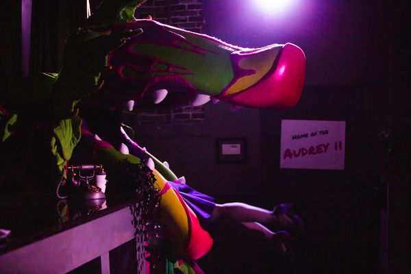 Photo Flash: Exit 82 Presents Twilight Zone LITTLE SHOP OF HORRORS Photo Flash: Exit 82 Presents Twilight Zone LITTLE SHOP OF HORRORS Image