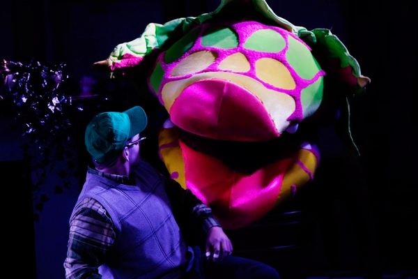 Ryan Everett Wood as Seymour Photo