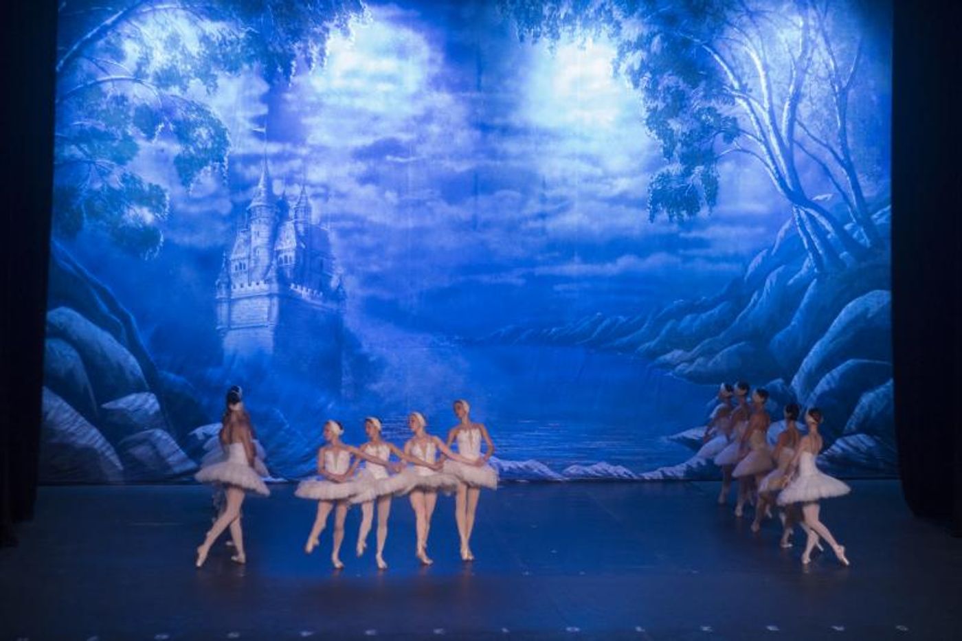 Inicia “El lago de los cisnes”, un tour que promete conmover a México  Image