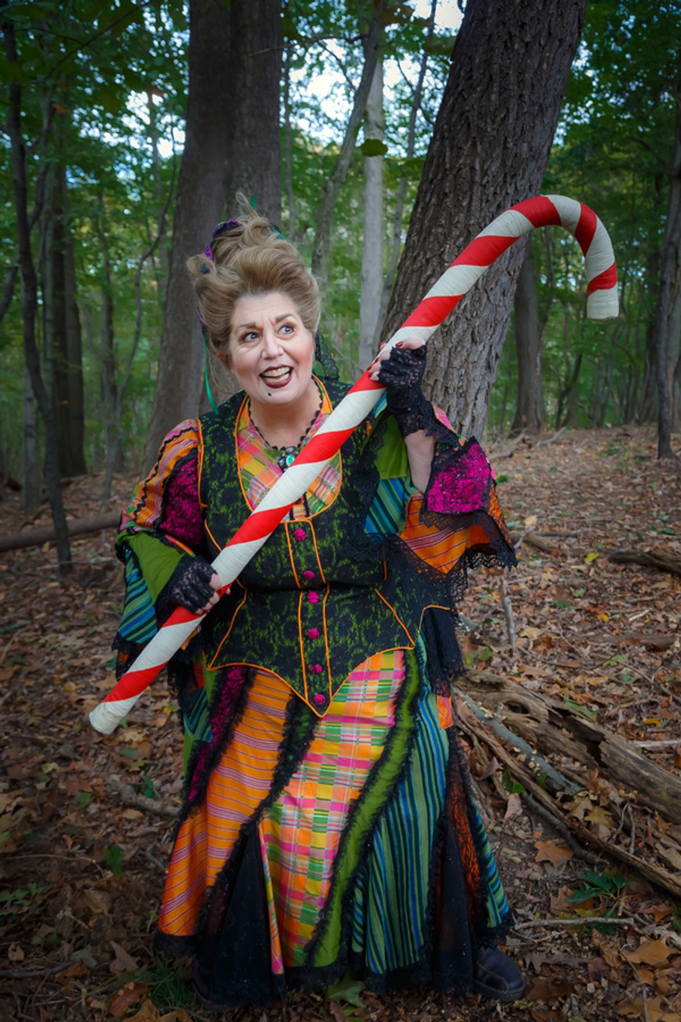 Photo Flash: First Look at Pittsburgh Opera's HANSEL & GRETEL  Image