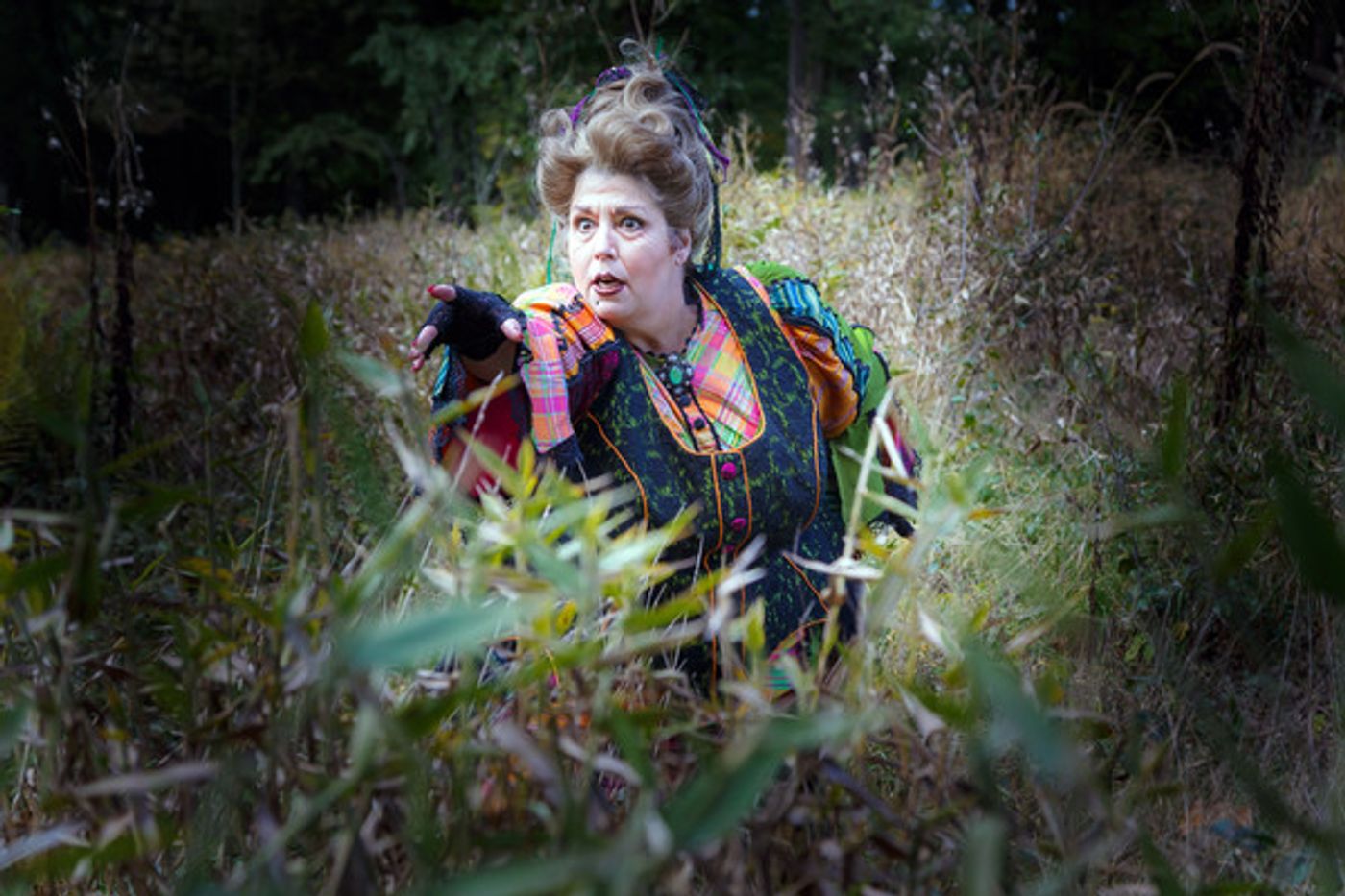 Photo Flash: First Look at Pittsburgh Opera's HANSEL & GRETEL  Image