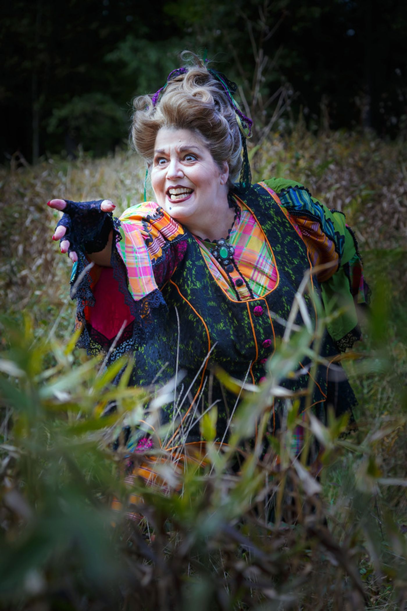 Photo Flash: First Look at Pittsburgh Opera's HANSEL & GRETEL  Image