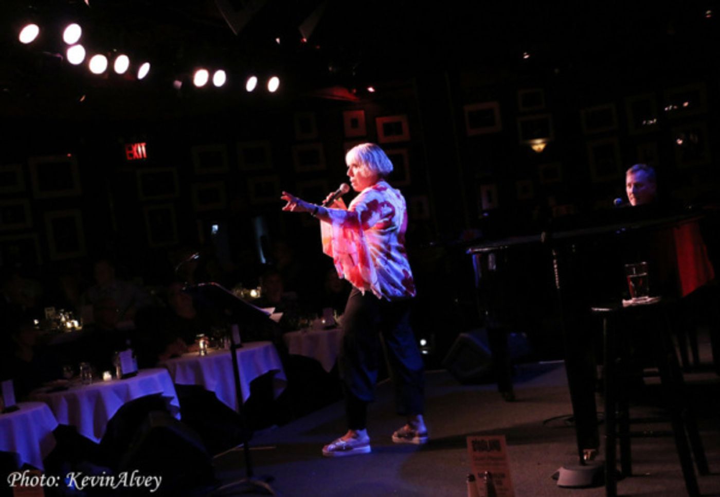 Photo Flash: Barb Jungr and John McDaniel Take the Stage at Birdland  Image