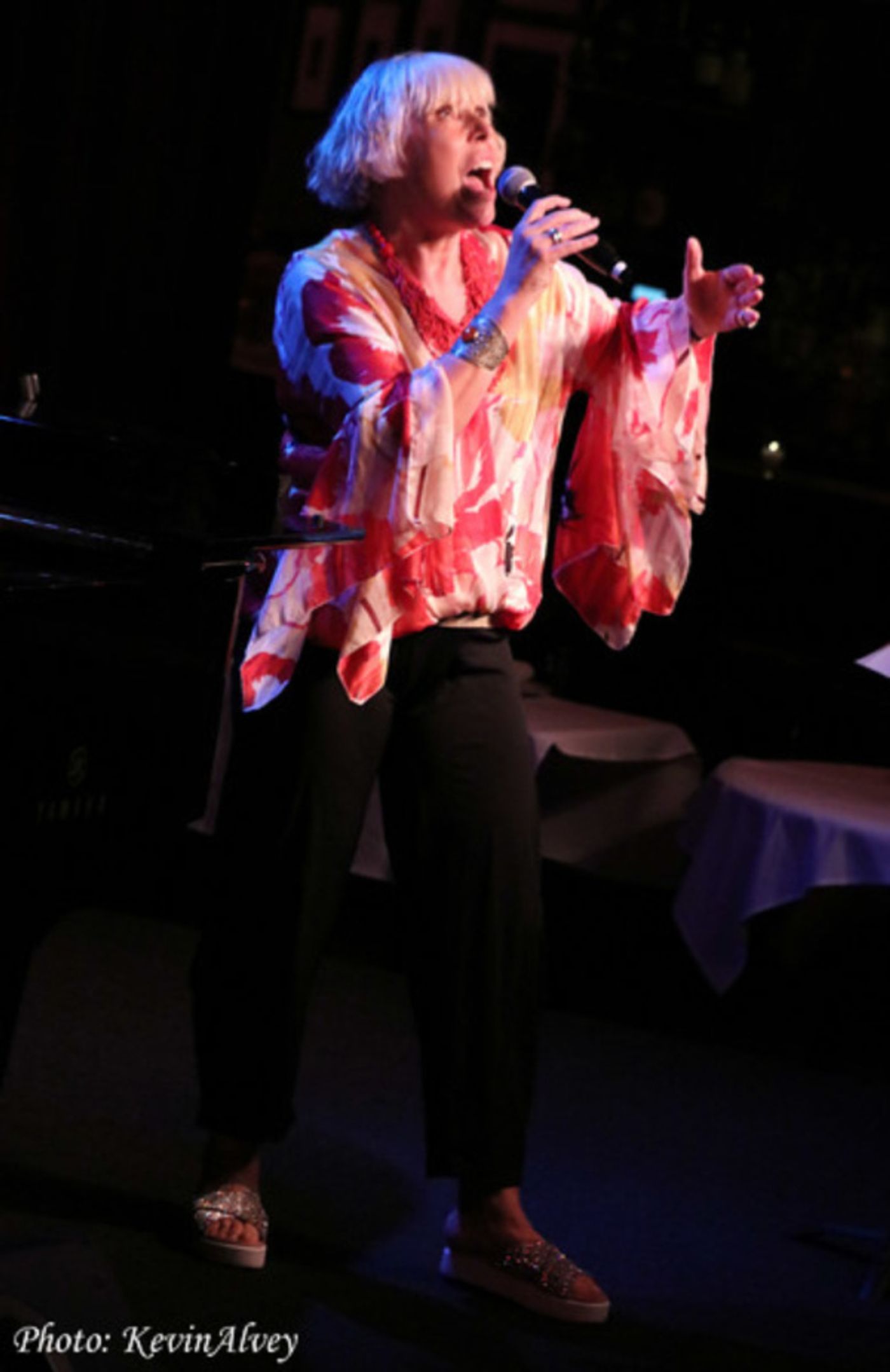 Photo Flash: Barb Jungr and John McDaniel Take the Stage at Birdland  Image