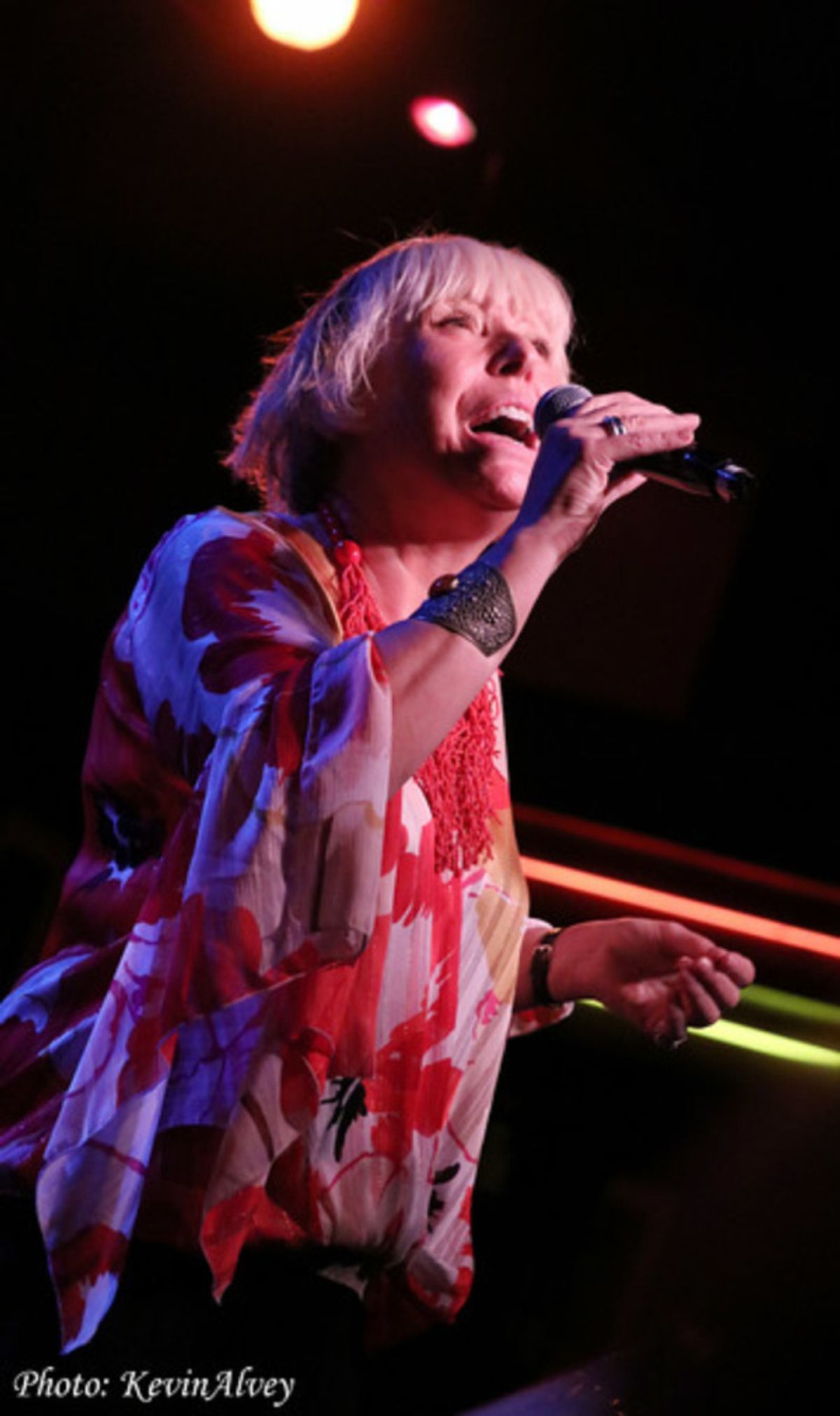 Barb Jungr at 