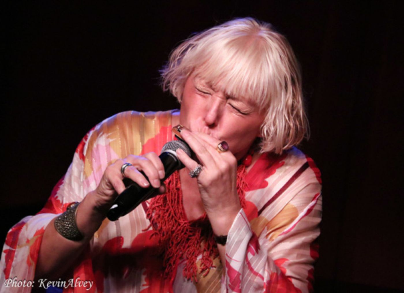 Photo Flash: Barb Jungr and John McDaniel Take the Stage at Birdland  Image