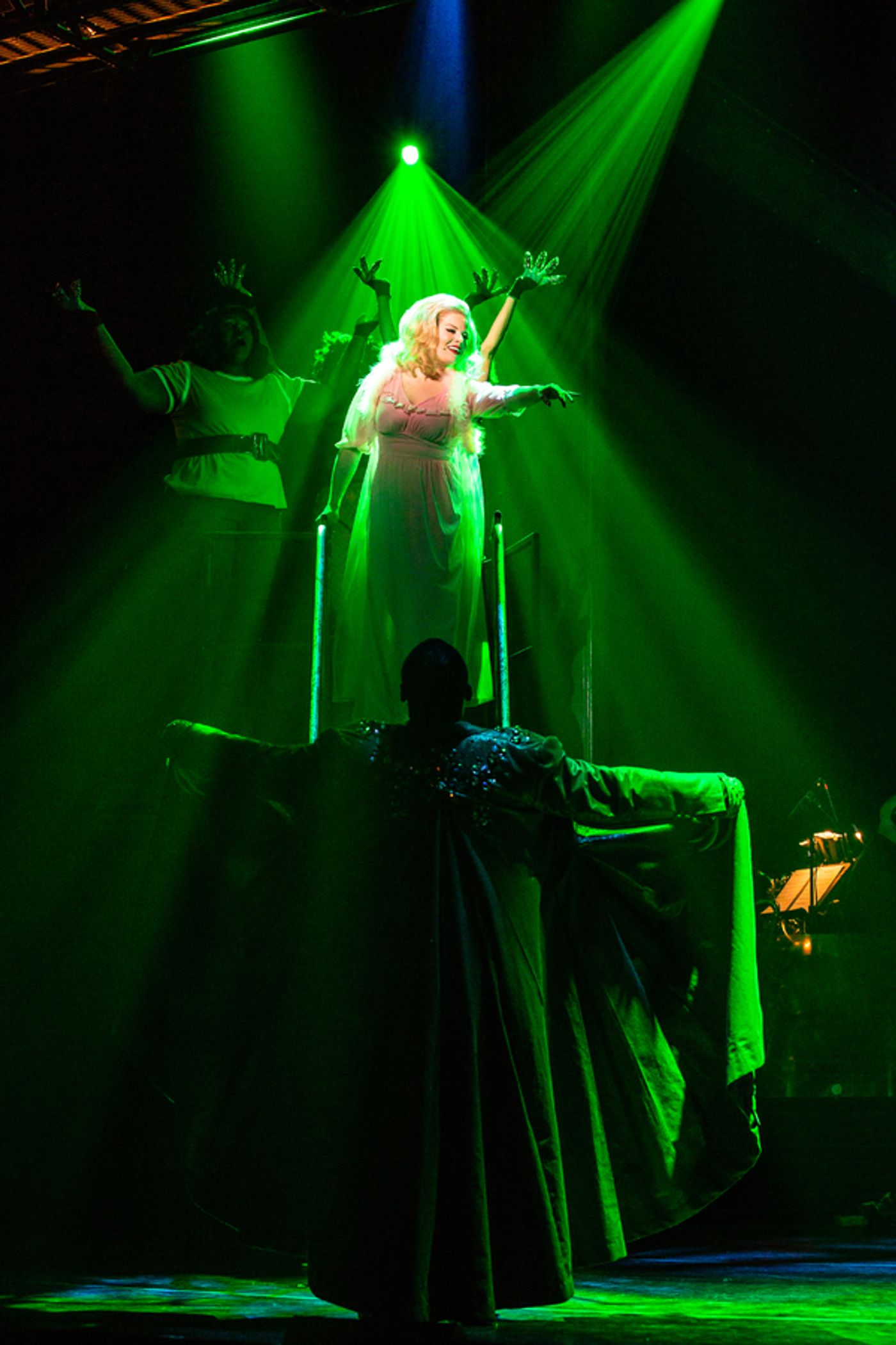 Photo Flash: First Look At Megan Hilty, Josh Radnor, and More in LITTLE SHOP OF HORRORS  Image